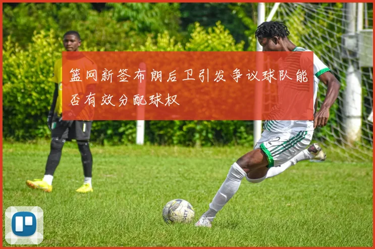 篮网新签布朗后卫引发争议球队能否有效分配球权